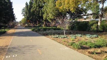 Tern Folding Bikes on the Whittier Greenway Trail