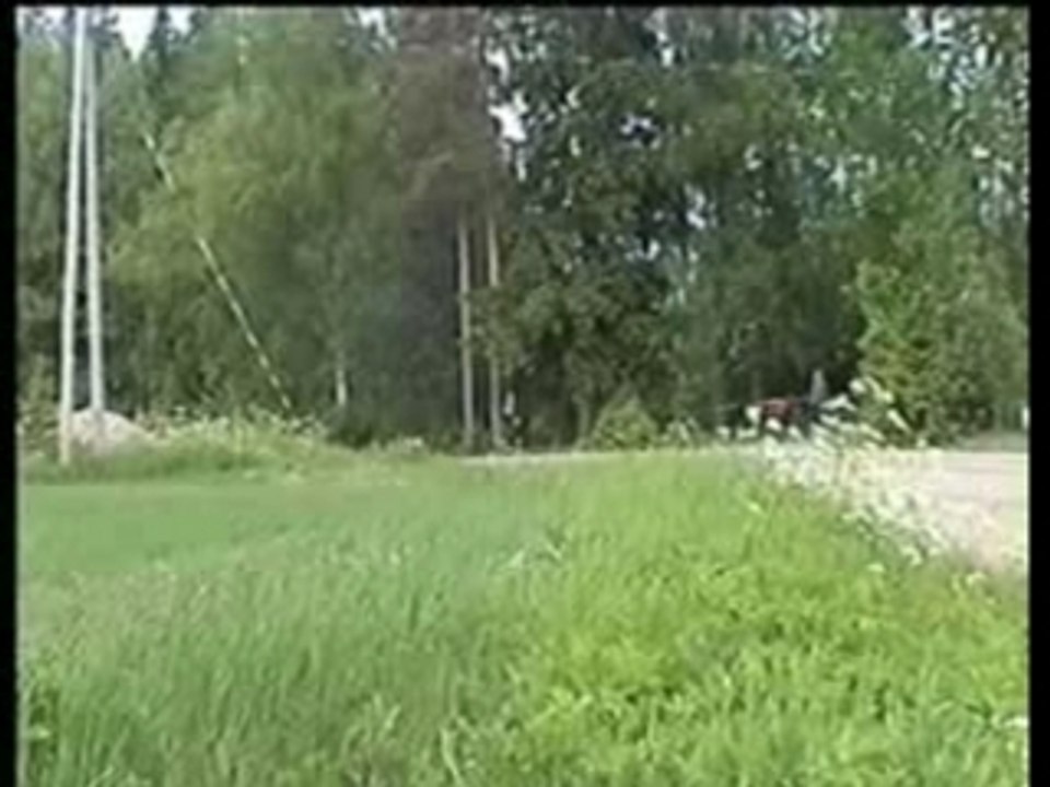rallye crash escort finlande