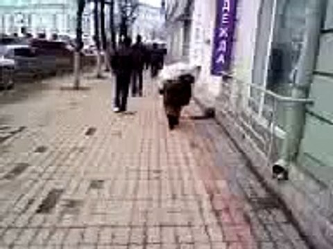 Орловская бабушка бомж бомжиха силачка Тяжёлые мешки у бабушки Город Орёл Видео прикол