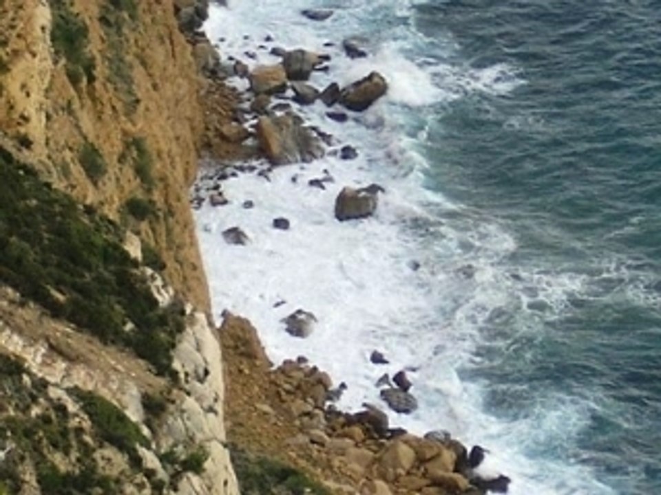 Cassislaciotat