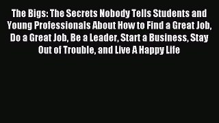 Download The Bigs: The Secrets Nobody Tells Students and Young Professionals About How to Find