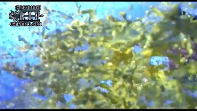 NEW SUPER NASTY Ammunition for snipers, police, security and military