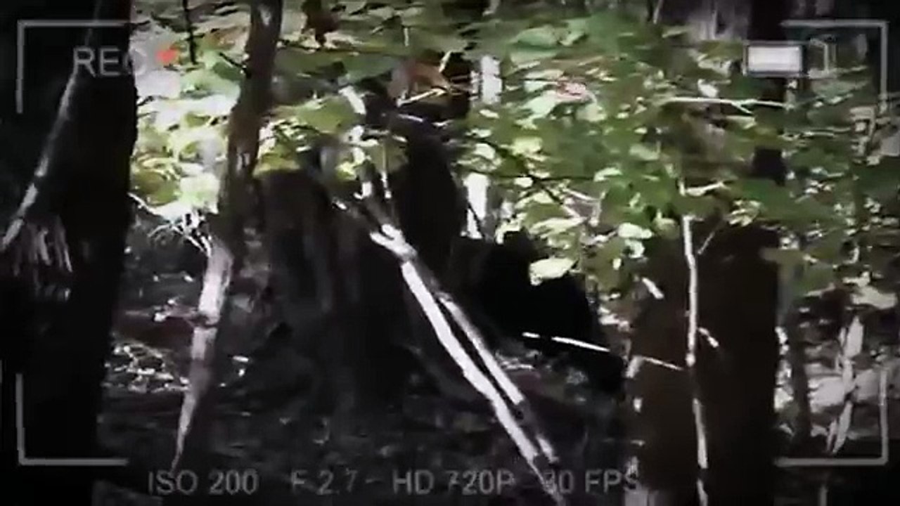 Top 60 Non Gaming Creepypastas 131