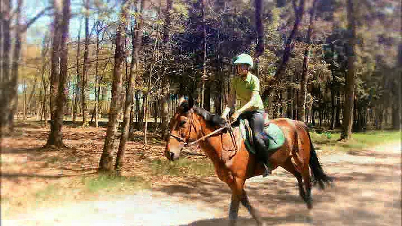 G4 Deplacer les épaules du cheval