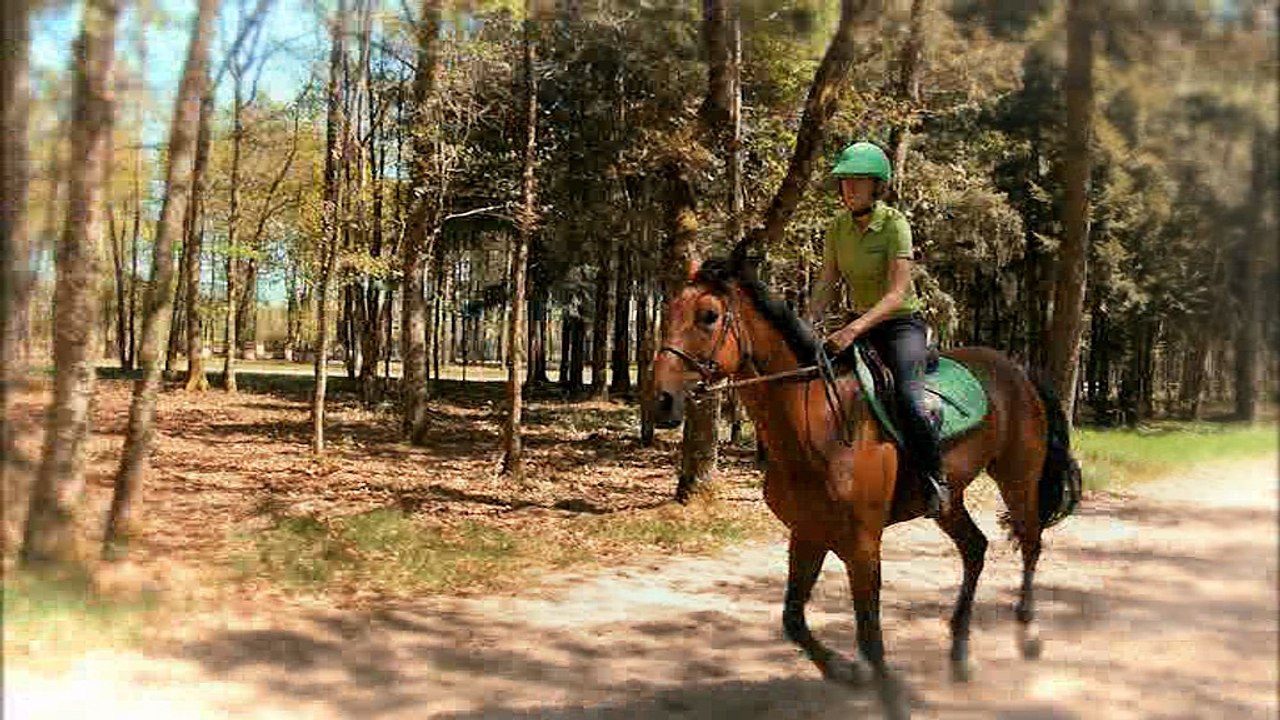 G4 Reprise de dressage type Galop®4