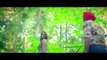 MEHTAB VIRK TAARA ( Video Song) Latest Punjabi Song 2016