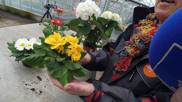 Les Experts jardin préparent Pâques...