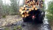 Valtra T131 forestry tractor in wet forest