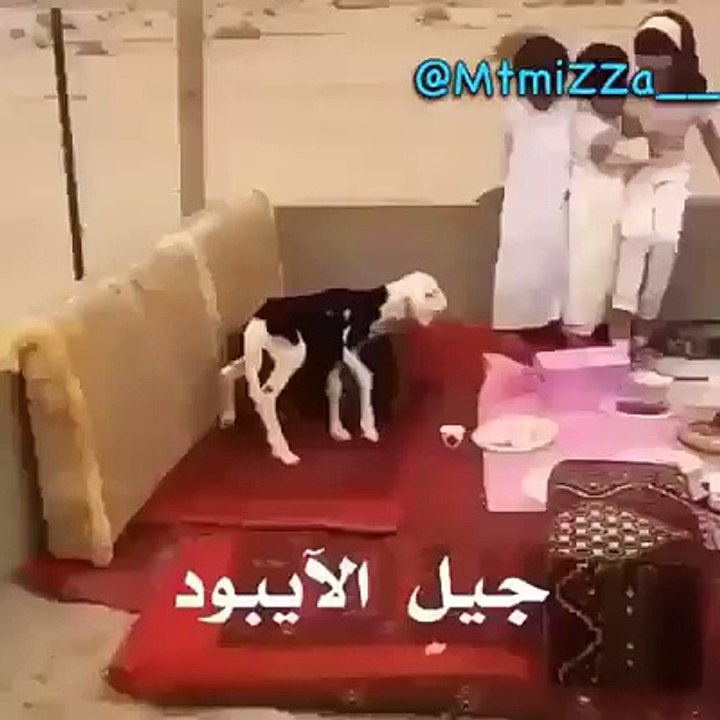 maroc insoliht - Fokaha Maroc - Comedia Maroc - Lmot Dyal Dahk