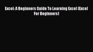 PDF Excel: A Beginners Guide To Learning Excel (Excel For Beginners) Free Books