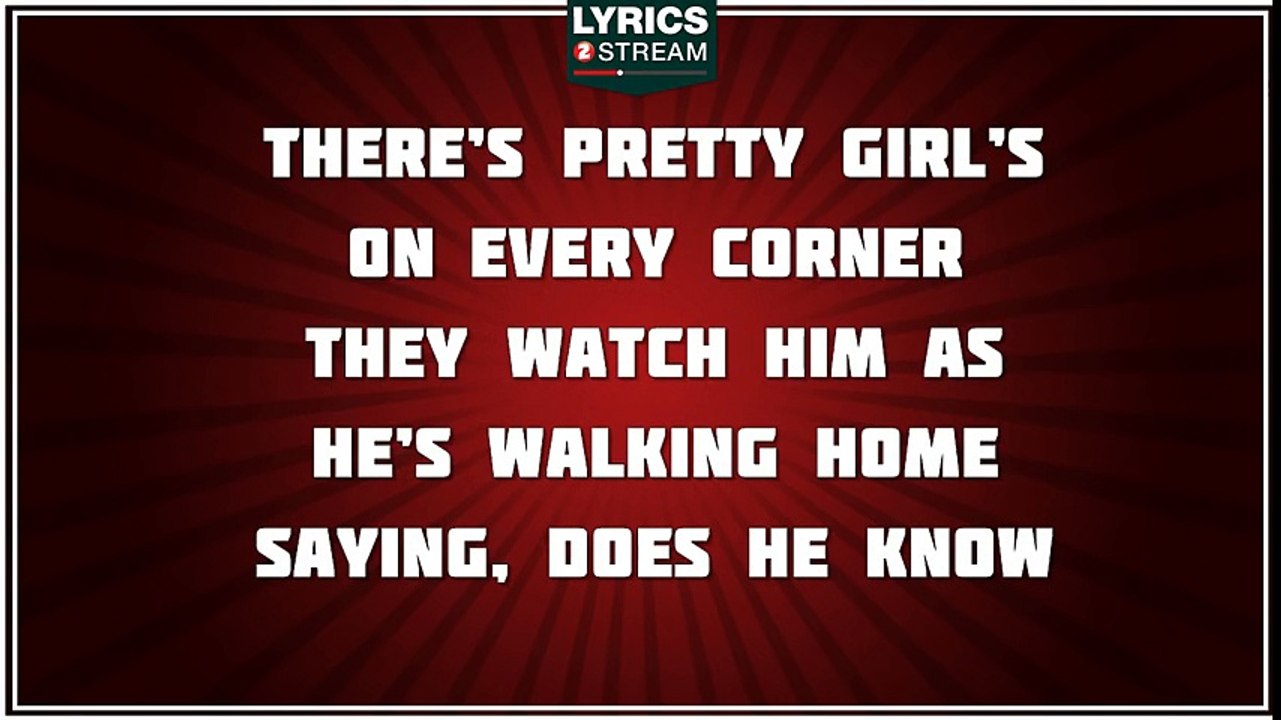 Stay Beautiful - Taylor Swift tribute - Lyrics