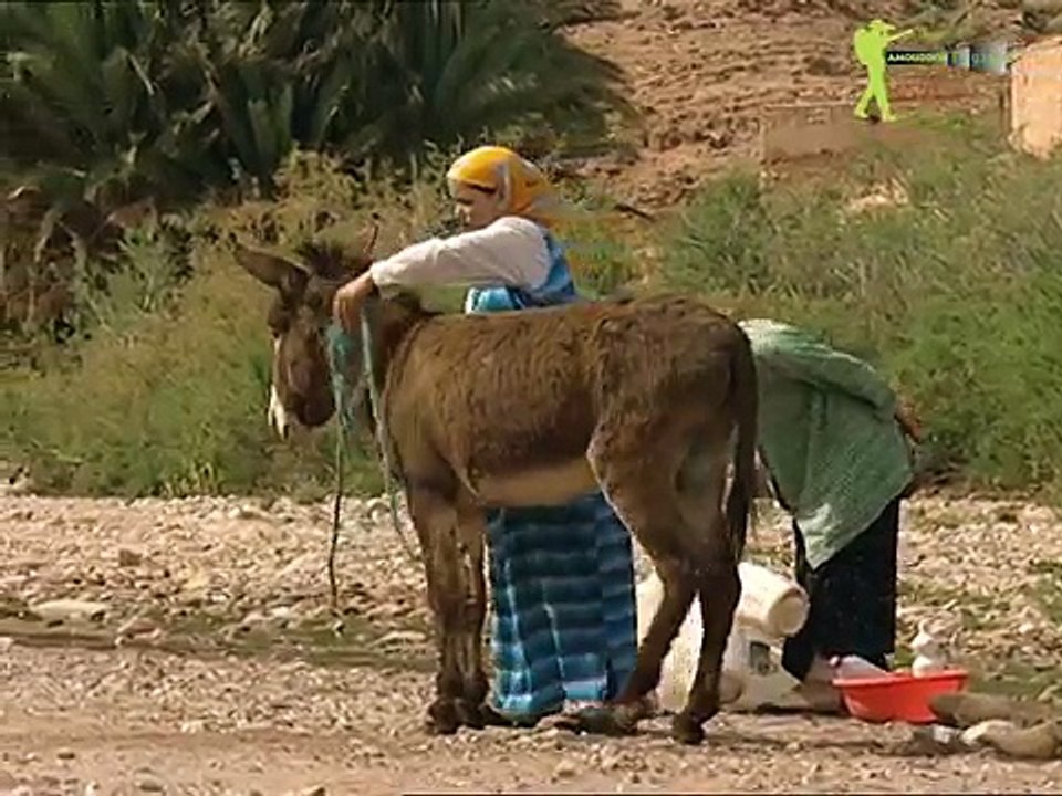 Promo vieuchange 06 إشهار على خطى فيوشانج
