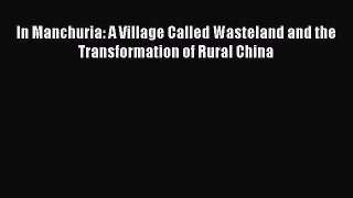 Read In Manchuria: A Village Called Wasteland and the Transformation of Rural China Ebook Free