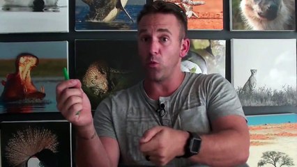 Wildlife Q&A - Episode 43- Backing up your LR catalog, focus points & using 'go to' camera settings.