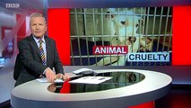 BBC1_Look North (East Yorkshire & Lincolnshire) 23Mar16 - animal cruelty