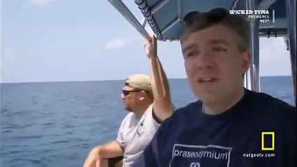 Great White shark Vs Killer Whale HD7