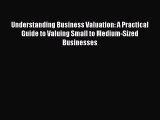 PDF Understanding Business Valuation: A Practical Guide to Valuing Small to Medium-Sized Businesses