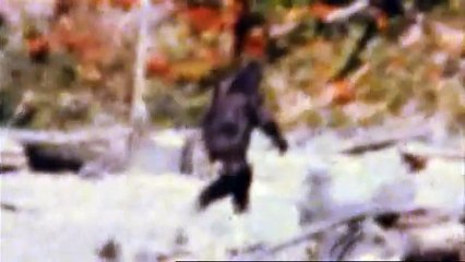 L'abominable Homme Des Bois