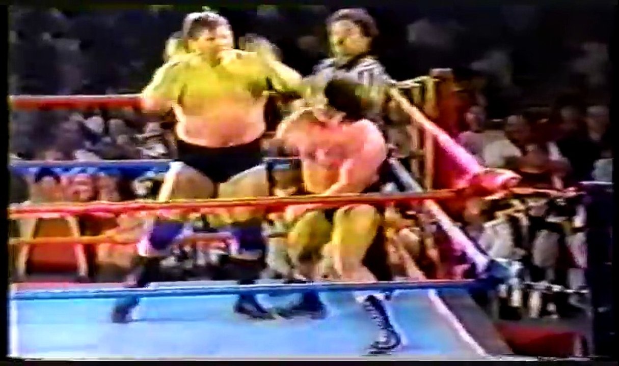 Stan Hansen vs David Sammartino part 1