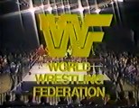 Hulk Hogan & Bob Backlund vs Mr Fuji & Tiger Chung Lee   Championship Wrestling Jan 14th, 1984