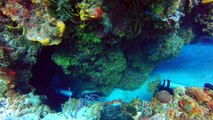 Scuba Diving in Cozumel, Mexico.  Palancar Caves Reef.  GoPro Hero4 Sivler.