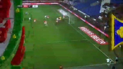 Goal Craig Cathcart ~Wales 0-1 Northern Ireland 24.03.2016