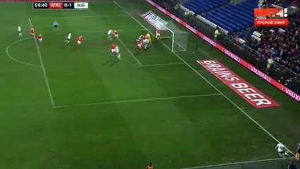 Craig Cathcart Goal - Wales 0-1 Northen Ireland 0-1 24.03.2016