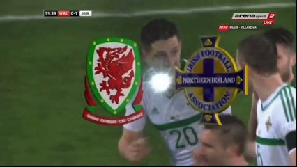 0-1 Goal International  Friendly - 24.03.2016, Wales 0-1 N. Ireland