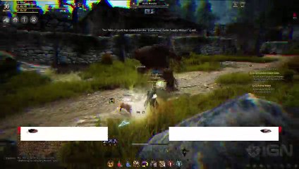 Black Desert Online Review