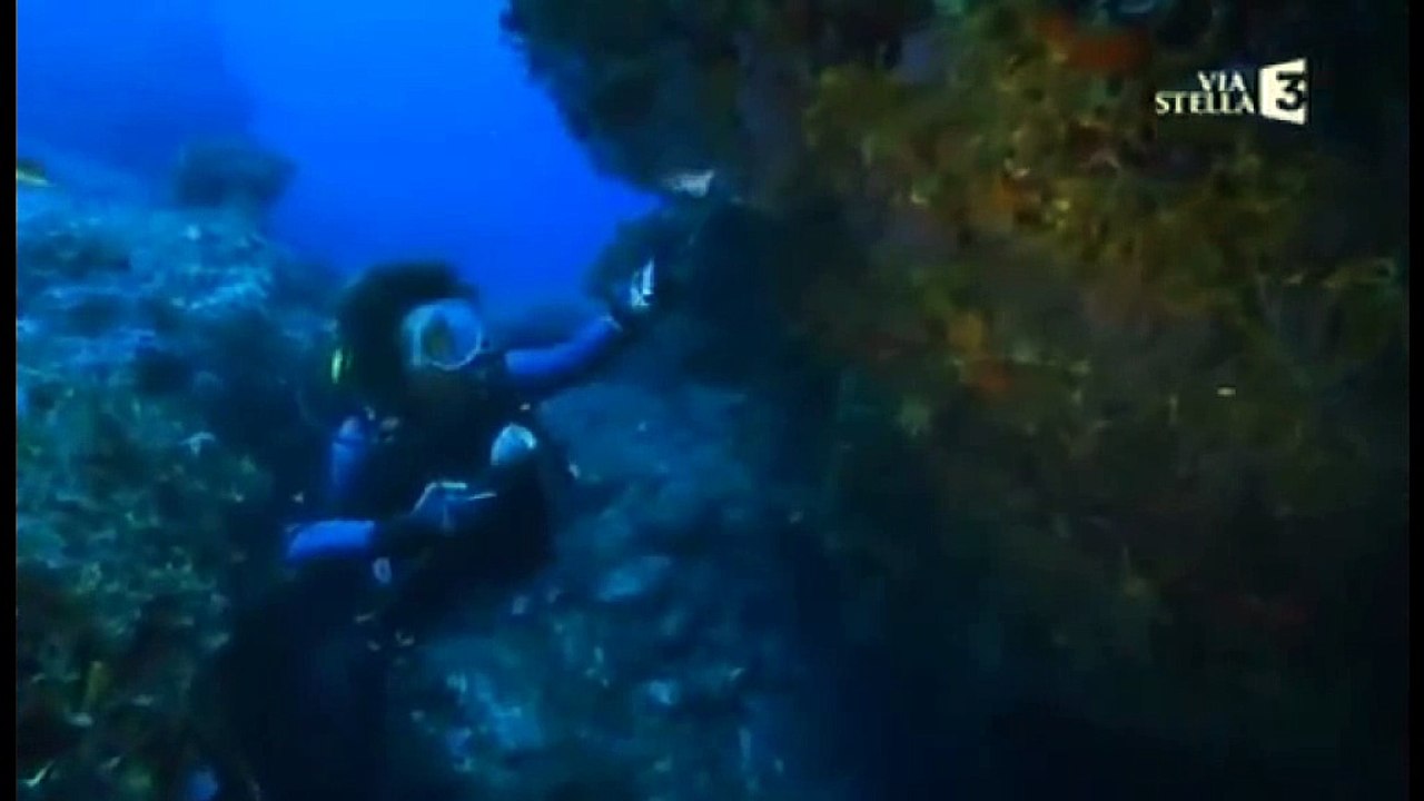 corail blanc_rare_albinos