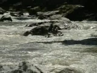 Lofer world cup 2007