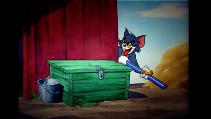 Tom and Jerry, 56 Episode Little Quacker