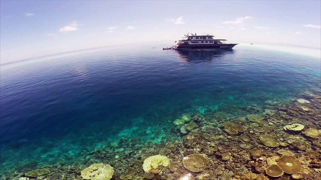 Maldive Dreaming