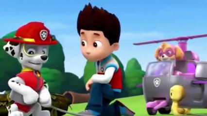 NEW Paw Patrol Air Rescue Pup Packs and Badge June 2016