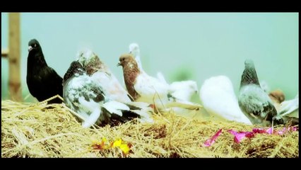 Kudam Kabila  Jatt Boys Putt Jattan De  Sippy Gill  Full Music Video (HD)