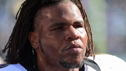 Former NFL player convicted of killing his dog