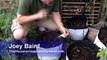 Growing Carrots in Containers - Quick Tip