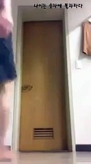 lustiges Fail videos