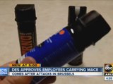 DES approves employees carrying mace