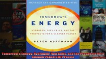 Tomorrows Energy Hydrogen Fuel Cells and the Prospects for a Cleaner Planet MIT Press
