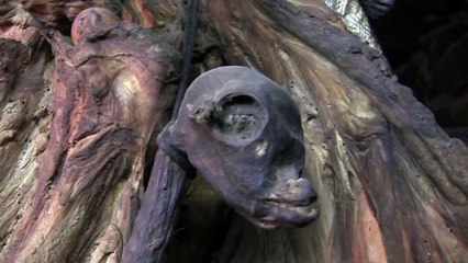 2nd Dead Alien body found at UFO sightings hot spot Russia 2011