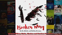Broken Wing Birds Blades and Broken Promises