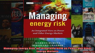 Managing Energy Risk An Integrated View on Power and Other Energy Markets