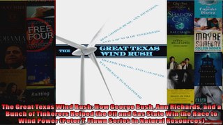 The Great Texas Wind Rush How George Bush Ann Richards and a Bunch of Tinkerers Helped