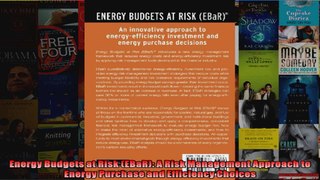Energy Budgets at Risk EBaR A Risk Management Approach to Energy Purchase and