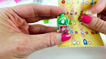 MEGA Shopkins Egg Surprise Play Doh Toys Frozen My Little Pony Furby Barbie LPS Eggs with DCTC