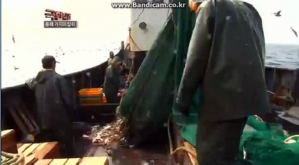 #사설토토제작 토토솔루션 카톡:haricuty 스카이프:haricuty