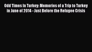 Read Odd Times In Turkey: Memories of a Trip to Turkey in June of 2014 - Just Before the Refugee