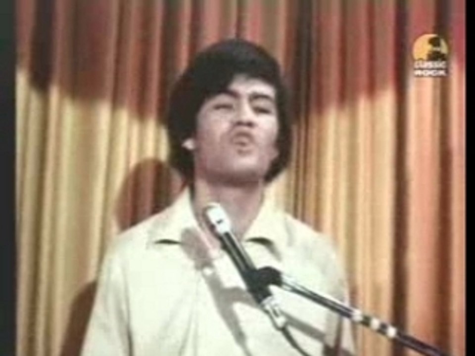 Monkees - Im A Believer