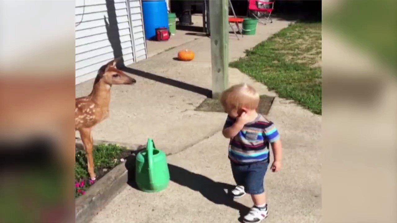 Cute Babe with a little Deer